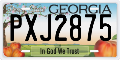 GA license plate PXJ2875