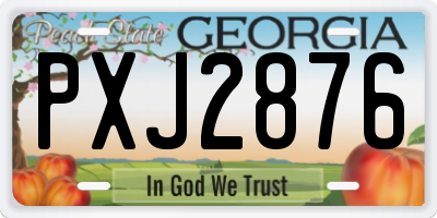 GA license plate PXJ2876
