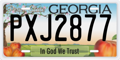 GA license plate PXJ2877