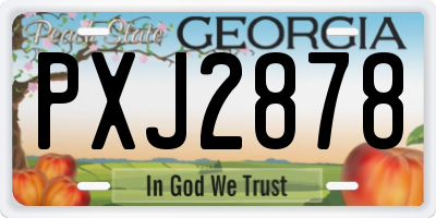 GA license plate PXJ2878