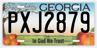 GA license plate PXJ2879