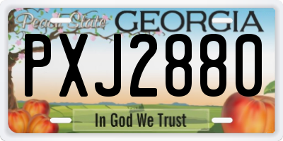 GA license plate PXJ2880