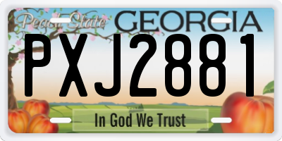 GA license plate PXJ2881