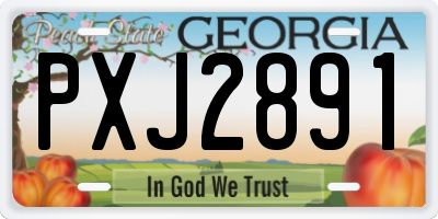 GA license plate PXJ2891