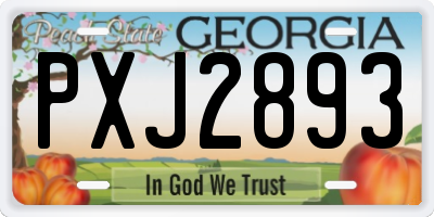 GA license plate PXJ2893