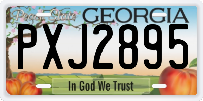 GA license plate PXJ2895