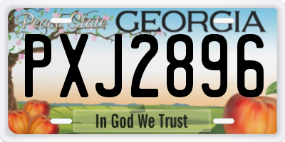 GA license plate PXJ2896