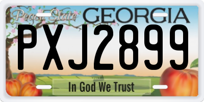 GA license plate PXJ2899