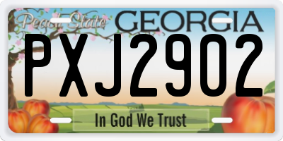 GA license plate PXJ2902