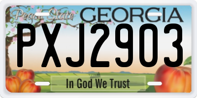 GA license plate PXJ2903