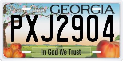GA license plate PXJ2904