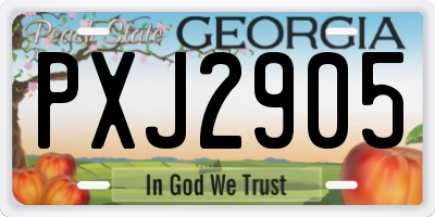 GA license plate PXJ2905
