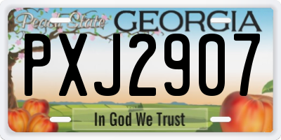 GA license plate PXJ2907