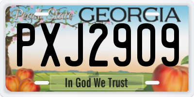 GA license plate PXJ2909