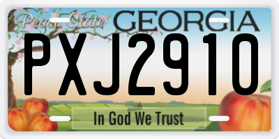 GA license plate PXJ2910