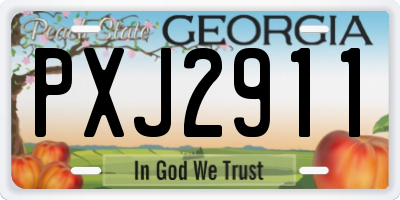 GA license plate PXJ2911