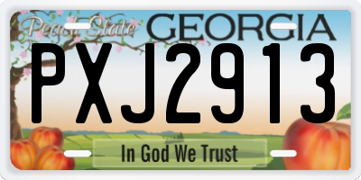 GA license plate PXJ2913