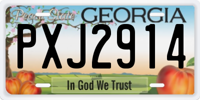 GA license plate PXJ2914