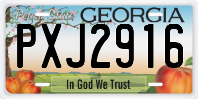 GA license plate PXJ2916