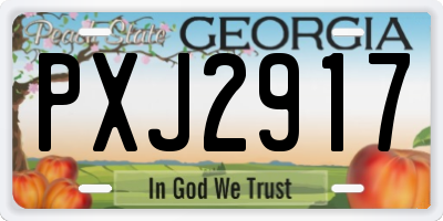 GA license plate PXJ2917