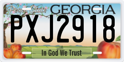 GA license plate PXJ2918