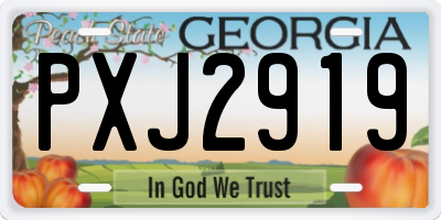 GA license plate PXJ2919