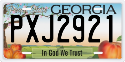 GA license plate PXJ2921