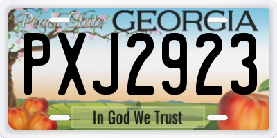 GA license plate PXJ2923