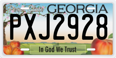 GA license plate PXJ2928