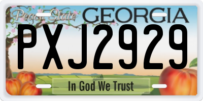 GA license plate PXJ2929