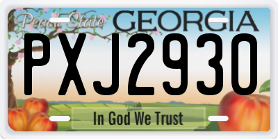 GA license plate PXJ2930
