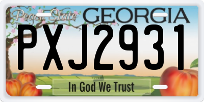 GA license plate PXJ2931