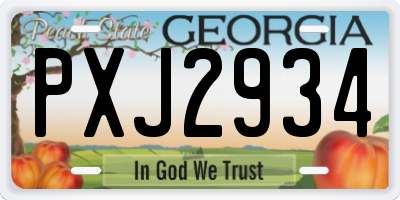 GA license plate PXJ2934
