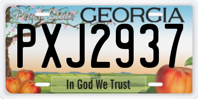 GA license plate PXJ2937