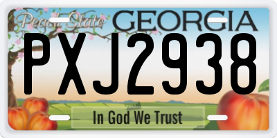 GA license plate PXJ2938