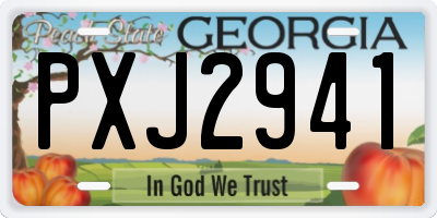 GA license plate PXJ2941