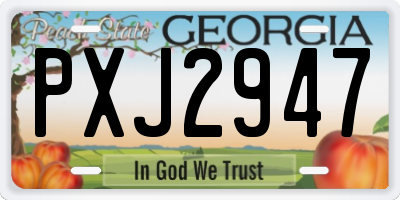 GA license plate PXJ2947