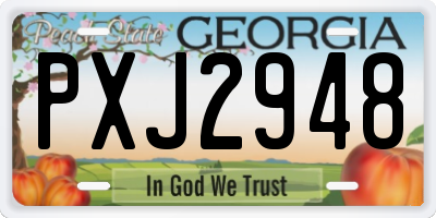 GA license plate PXJ2948