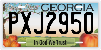 GA license plate PXJ2950
