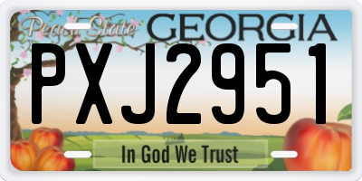 GA license plate PXJ2951