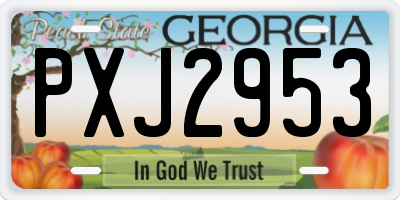 GA license plate PXJ2953