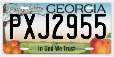 GA license plate PXJ2955
