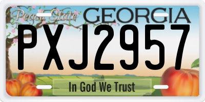 GA license plate PXJ2957