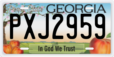 GA license plate PXJ2959