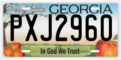 GA license plate PXJ2960