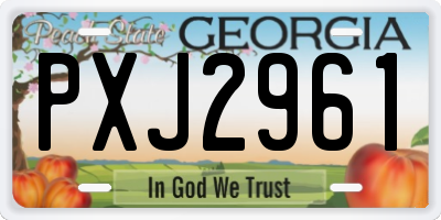 GA license plate PXJ2961