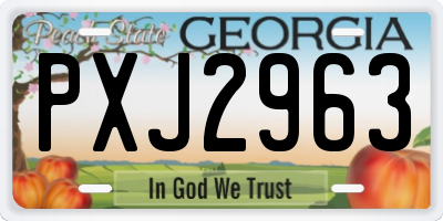 GA license plate PXJ2963