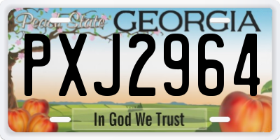 GA license plate PXJ2964