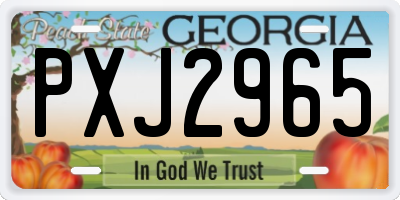 GA license plate PXJ2965