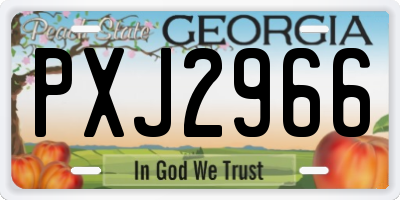 GA license plate PXJ2966